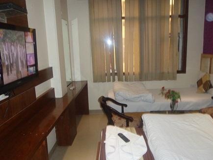 Milllennium 2000 Dx Hotel New Delhi